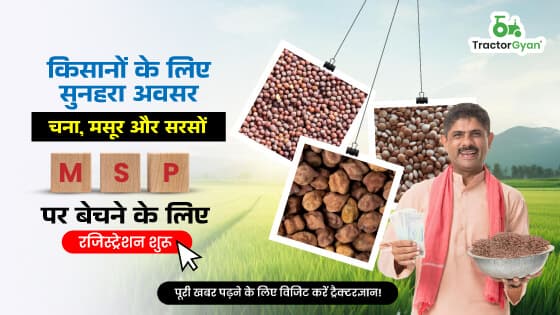 किसानों के लिए सुनहरा अवसर चना, मसूर और सरसों MSP पर बेचने के लिए रजिस्ट्रेशन शुरू किसानों के लिए सुनहरा अवसर चना, मसूर और सरसों MSP पर बेचने के लिए रजिस्ट्रेशन शुरू image