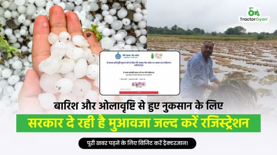 बारिश और ओलावृष्टि से हुए नुकसान के लिए सरकार दे रही है मुआवजा जल्द करें रजिस्ट्रेशन! बारिश और ओलावृष्टि से हुए नुकसान के लिए सरकार दे रही है मुआवजा जल्द करें रजिस्ट्रेशन! image