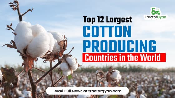Top 12 Largest Cotton Producing Countries in the World Top 12 Largest Cotton Producing Countries in the World image