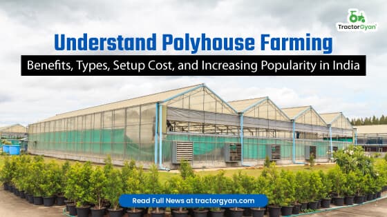 Understand Polyhouse Farming Benefits, Types, Setup Costs, and Increasing popularity in India Understand Polyhouse Farming Benefits, Types, Setup Costs, and Increasing popularity in India