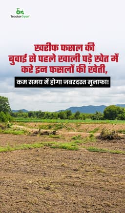 खरीफ फसल से पहले खाली पड़े खेत में करे इन फसलों की खेती, कम समय में होगा जबरदस्त मुनाफा! खरीफ फसल से पहले खाली पड़े खेत में करे इन फसलों की खेती, कम समय में होगा जबरदस्त मुनाफा!