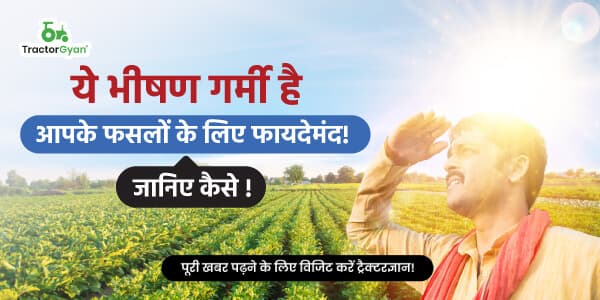 ये भीषण गर्मी है आपके फसलों के लिए फायदेमंद! जानिए कैसे ! ये भीषण गर्मी है आपके फसलों के लिए फायदेमंद! जानिए कैसे !