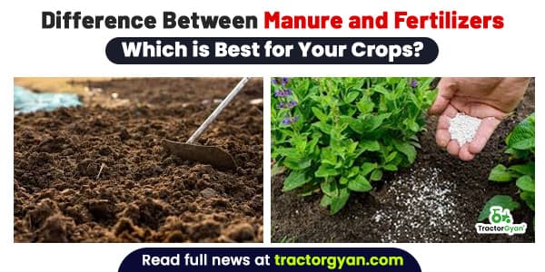 Difference Between Manure and Fertilizers: Which is Best for Your Crops? Difference Between Manure and Fertilizers: Which is Best for Your Crops? image