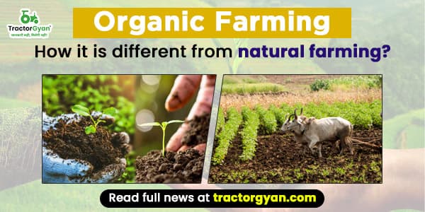 Organic Farming: How is it different from natural farming Organic Farming: How is it different from natural farming