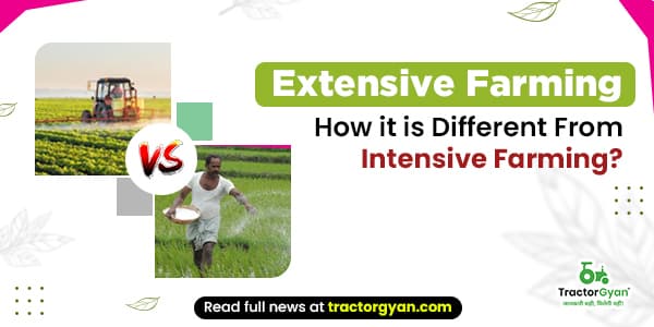 Extensive Farming: How it is Different From Intensive Farming? Extensive Farming: How it is Different From Intensive Farming?