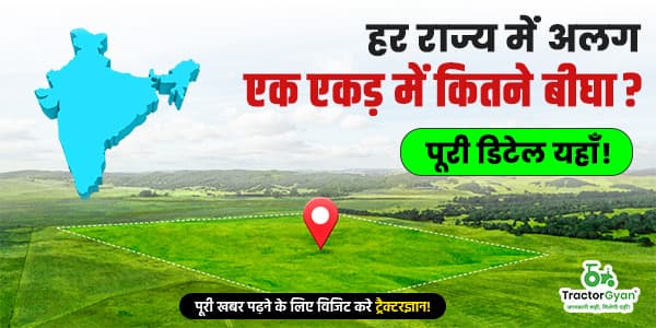 हर राज्य में अलग: एक एकड़ में कितने बीघा? पूरी डिटेल यहाँ! हर राज्य में अलग: एक एकड़ में कितने बीघा? पूरी डिटेल यहाँ! image