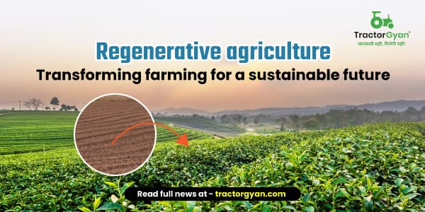 Regenerative agriculture: Transforming farming for a sustainable future Regenerative agriculture: Transforming farming for a sustainable future image