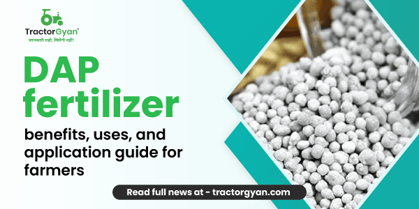 DAP fertilizer: Benefits, uses, and application guide for farmers DAP fertilizer: Benefits, uses, and application guide for farmers