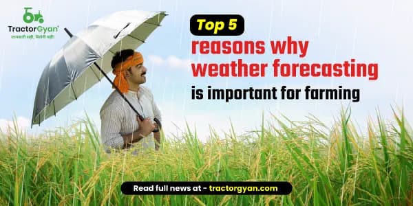 Top 5 reasons why weather forecasting is important for farming Top 5 reasons why weather forecasting is important for farming image