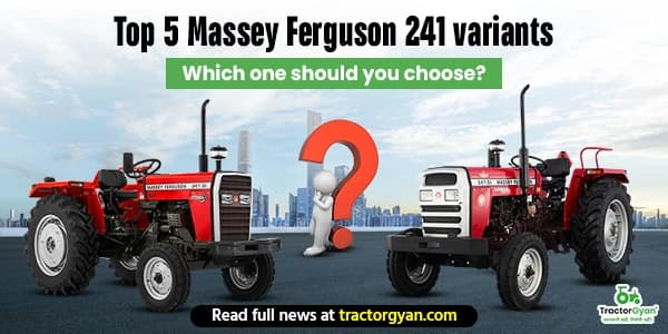 Top 5 Massey Ferguson 241 Variants: Which One Should You Choose? Top 5 Massey Ferguson 241 Variants: Which One Should You Choose?