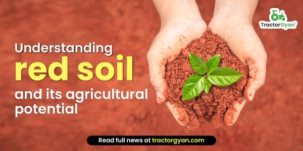 Understanding Red Soil and Its Agricultural Potential Understanding Red Soil and Its Agricultural Potential