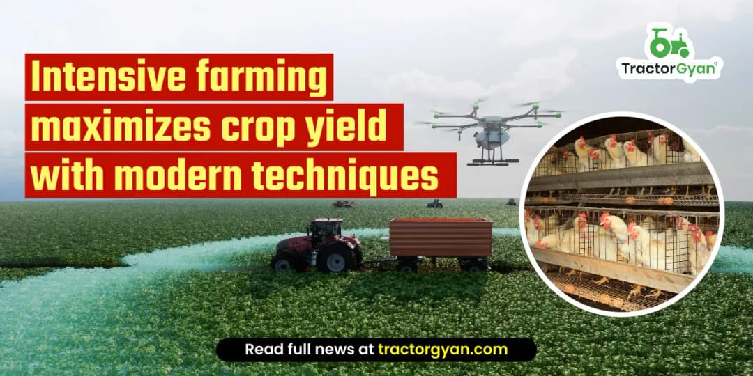 Intensive Farming Maximizes Crop Yield with Modern Techniques Intensive Farming Maximizes Crop Yield with Modern Techniques