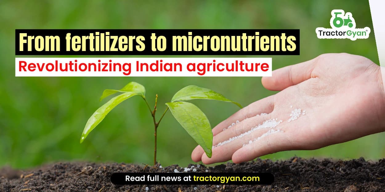 From Fertilizers to Micronutrients: Revolutionizing Indian Agriculture From Fertilizers to Micronutrients: Revolutionizing Indian Agriculture image