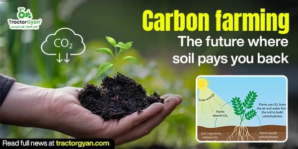 Carbon Farming: The Future Where Soil Pays You Back Carbon Farming: The Future Where Soil Pays You Back image