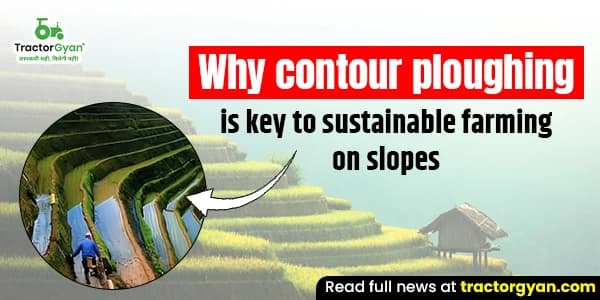 Why Contour Ploughing is key to Sustainable Farming on Slopes Why Contour Ploughing is key to Sustainable Farming on Slopes