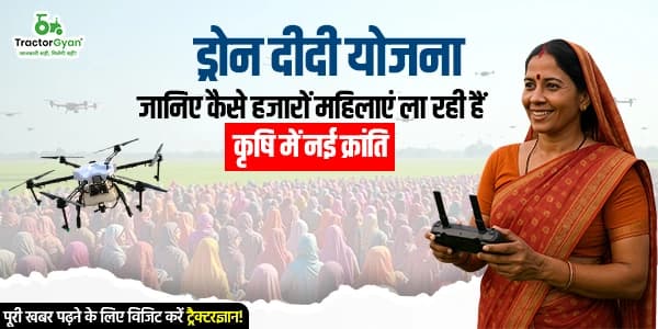 ड्रोन दीदी योजना: जानिए कैसे हजारों महिलाएं ला रही हैं कृषि में नई क्रांति ड्रोन दीदी योजना: जानिए कैसे हजारों महिलाएं ला रही हैं कृषि में नई क्रांति