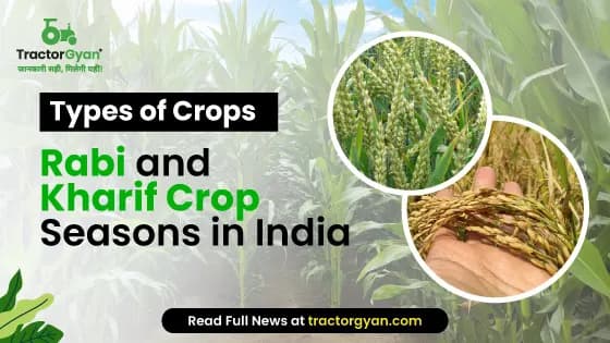 Rabi and Kharif Crop Seasons in India - Types, Factors | Tractorgyan Rabi and Kharif Crop Seasons in India - Types, Factors | Tractorgyan