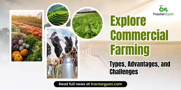 Commercial Farming Commercial Farming image