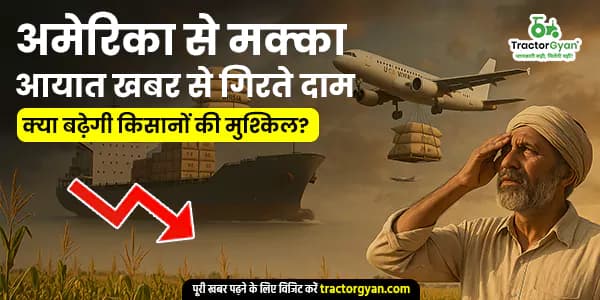 अमेरिका से मक्का आयात की खबर से गिरते दाम, क्या बढ़ेगी किसानों की मुश्किल? अमेरिका से मक्का आयात की खबर से गिरते दाम, क्या बढ़ेगी किसानों की मुश्किल?