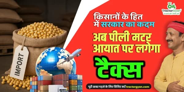 किसानों के हित में सरकार का कदम: अब पीली मटर आयात पर लगेगा टैक्स किसानों के हित में सरकार का कदम: अब पीली मटर आयात पर लगेगा टैक्स image