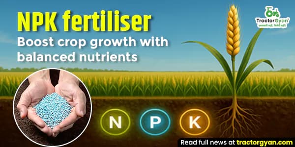 NPK Fertiliser: Boost crop growth with balanced nutrients NPK Fertiliser: Boost crop growth with balanced nutrients image