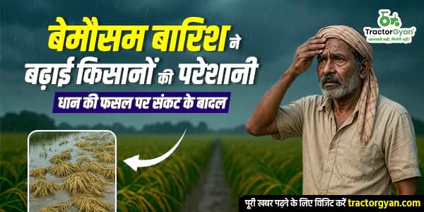 बेमौसम बारिश ने बढ़ाई किसानों की परेशानी, धान की फसल पर संकट के बादल बेमौसम बारिश ने बढ़ाई किसानों की परेशानी, धान की फसल पर संकट के बादल image
