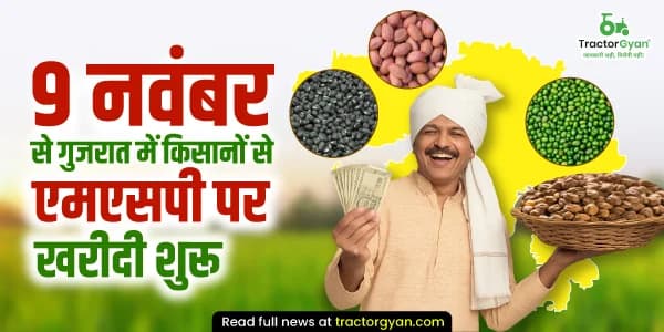 गुजरात के किसानों के लिए राहत: 9 नवंबर से शुरू होगी एमएसपी पर खरीफ फसलों की खरीदी गुजरात के किसानों के लिए राहत: 9 नवंबर से शुरू होगी एमएसपी पर खरीफ फसलों की खरीदी