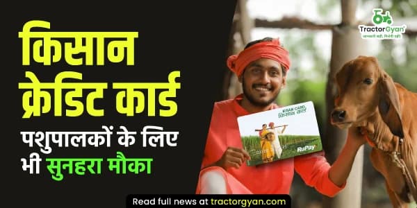 किसान क्रेडिट कार्ड: पशुपालकों के लिए भी सुनहरा मौका किसान क्रेडिट कार्ड: पशुपालकों के लिए भी सुनहरा मौका