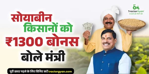 किसानों के लिए खुशखबरी: एमपी सरकार देगी ₹1300 प्रति क्विंटल सोयाबीन बोनस किसानों के लिए खुशखबरी: एमपी सरकार देगी ₹1300 प्रति क्विंटल सोयाबीन बोनस
