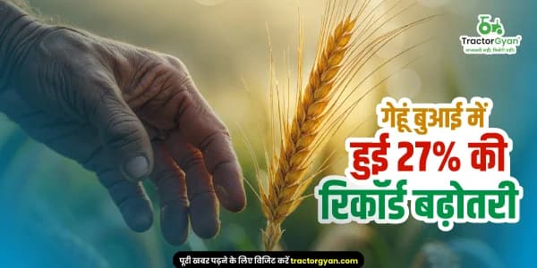 देश में गेहूं की बुआई दोगुनी: समय पर खरीफ कटाई से रबी फसलों में तेजी देश में गेहूं की बुआई दोगुनी: समय पर खरीफ कटाई से रबी फसलों में तेजी