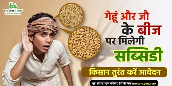गेहूं और जौ के बीज पर मिलेगी सब्सिडी, किसान तुरंत करें आवेदन गेहूं और जौ के बीज पर मिलेगी सब्सिडी, किसान तुरंत करें आवेदन image