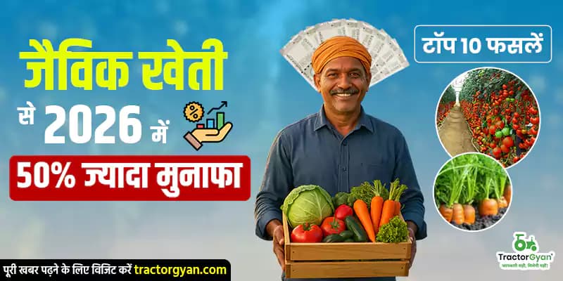 जैविक खेती से 2026 में 50% ज्यादा मुनाफा – टॉप 10 फसलें जैविक खेती से 2026 में 50% ज्यादा मुनाफा – टॉप 10 फसलें image