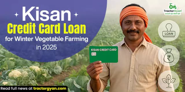 Kisan credit card loan for winter vegetable farming in India Kisan credit card loan for winter vegetable farming in India image