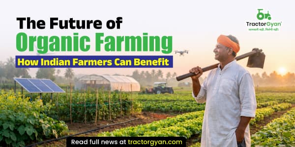 The future of organic farming: How Indian farmers can benefit The future of organic farming: How Indian farmers can benefit image