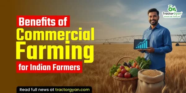 Benefits of commercial farming for Indian farmers Benefits of commercial farming for Indian farmers image