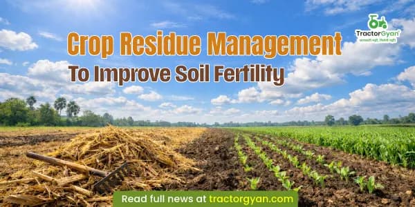 Crop residue management to improve soil fertility Crop residue management to improve soil fertility