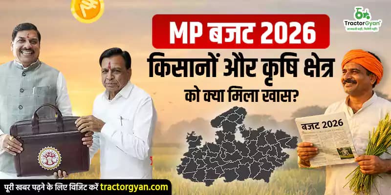 एमपी बजट 2026: किसानों और कृषि क्षेत्र को क्या मिला खास? एमपी बजट 2026: किसानों और कृषि क्षेत्र को क्या मिला खास? image