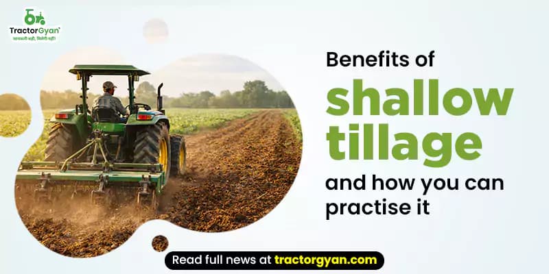 Benefits of shallow tillage and how you can practise It Benefits of shallow tillage and how you can practise It