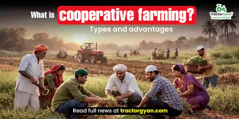 What is cooperative farming? Types and advantages What is cooperative farming? Types and advantages