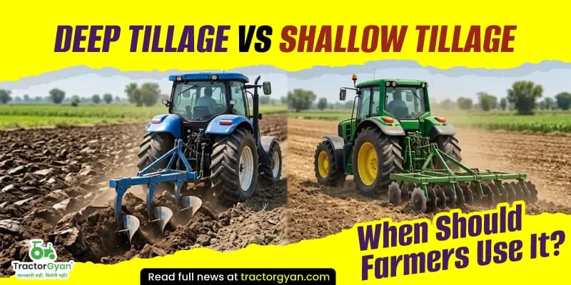 Deep tillage vs shallow tillage - When should farmers use it? Deep tillage vs shallow tillage - When should farmers use it? image