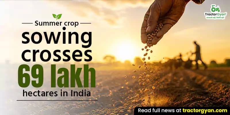 Summer crop sowing crosses 69 lakh hectares in India Summer crop sowing crosses 69 lakh hectares in India