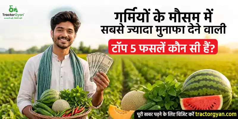 गर्मियों के मौसम में सबसे ज्यादा मुनाफा देने वाली टॉप 5 फसलें कौन सी हैं? गर्मियों के मौसम में सबसे ज्यादा मुनाफा देने वाली टॉप 5 फसलें कौन सी हैं?