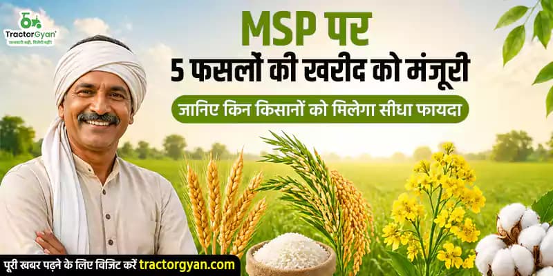 MSP पर 5 फसलों की खरीद को मंजूरी: जानिए किन किसानों को मिलेगा सीधा फायदा MSP पर 5 फसलों की खरीद को मंजूरी: जानिए किन किसानों को मिलेगा सीधा फायदा image