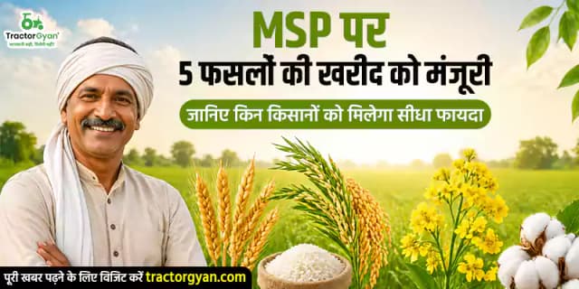 MSP पर 5 फसलों की खरीद को मंजूरी: जानिए किन किसानों को मिलेगा सीधा फायदा MSP पर 5 फसलों की खरीद को मंजूरी: जानिए किन किसानों को मिलेगा सीधा फायदा image