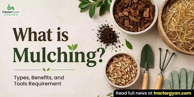 What is Mulching? Types, benefits, and tools required What is Mulching? Types, benefits, and tools required