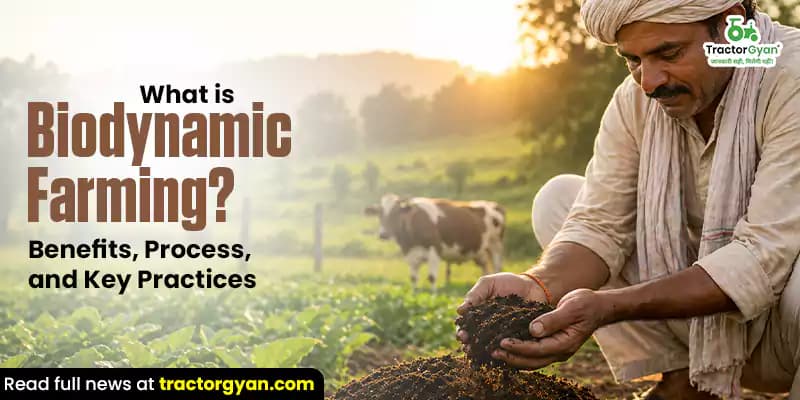 What is Biodynamic farming? Benefits, process, and key practices What is Biodynamic farming? Benefits, process, and key practices