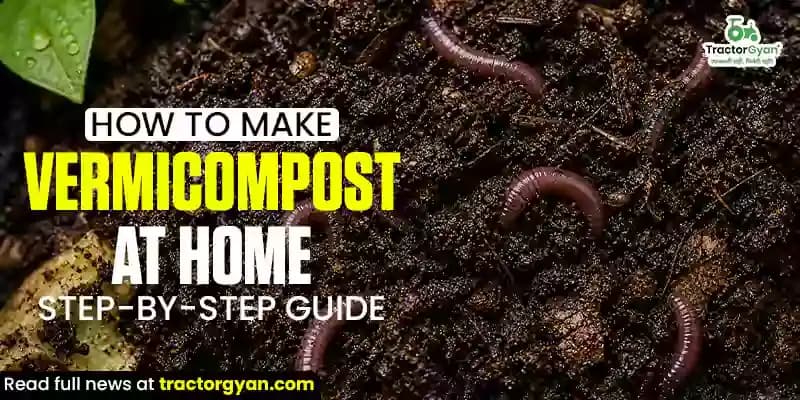 How to make vermicompost at home: Step-by-step guide How to make vermicompost at home: Step-by-step guide image