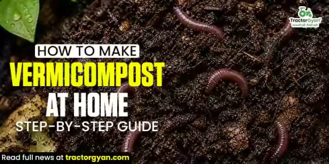 How to make vermicompost at home: Step-by-step guide How to make vermicompost at home: Step-by-step guide image