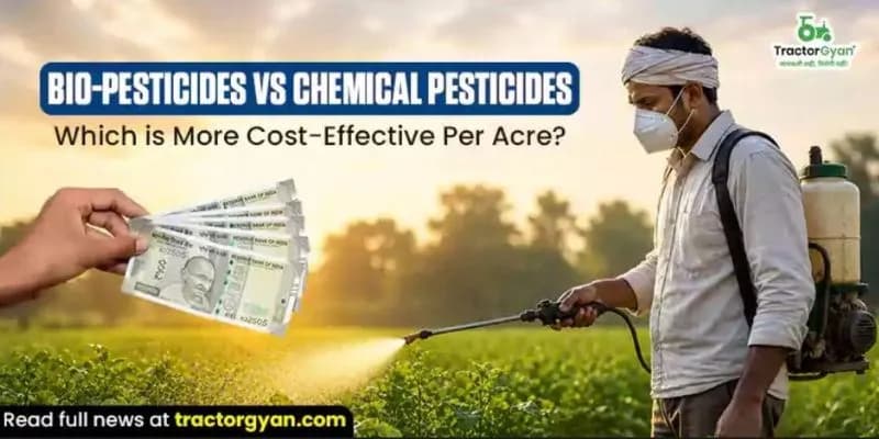 Bio-Pesticides vs Chemical Pesticides: Which is more cost-effective per acre? Bio-Pesticides vs Chemical Pesticides: Which is more cost-effective per acre? image