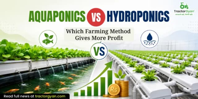 Aquaponics vs Hydroponics: Which farming method gives more profit Aquaponics vs Hydroponics: Which farming method gives more profit image